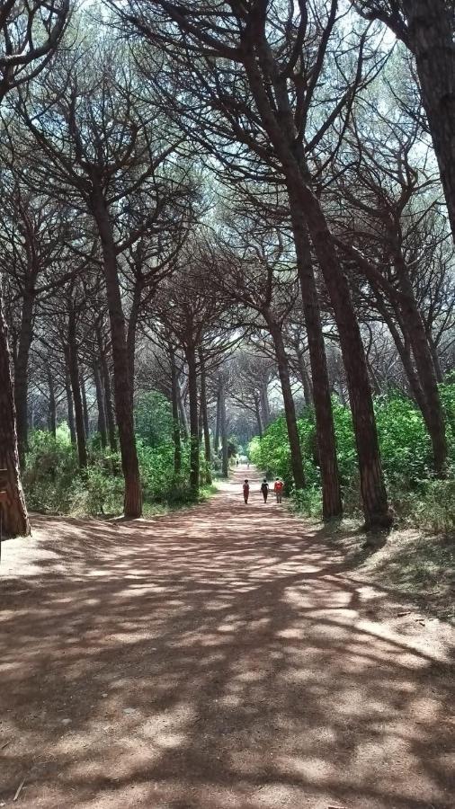 דירות מונטה קטיני ואל די צ'צ'ינה Casina Orione מראה חיצוני תמונה